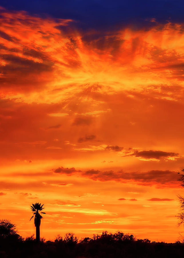 Sunset v414 Photograph by Mark Myhaver