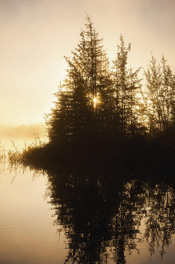 Sunset View Of Trees Reflected In Chena Photograph