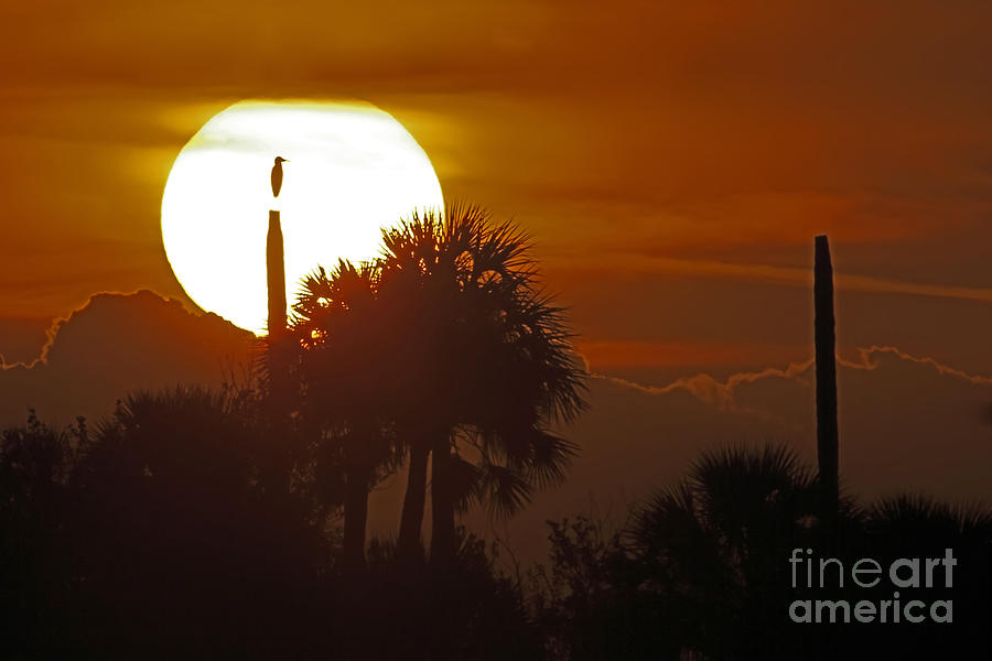 Sunset Photograph - Sunset View by Rick Mann