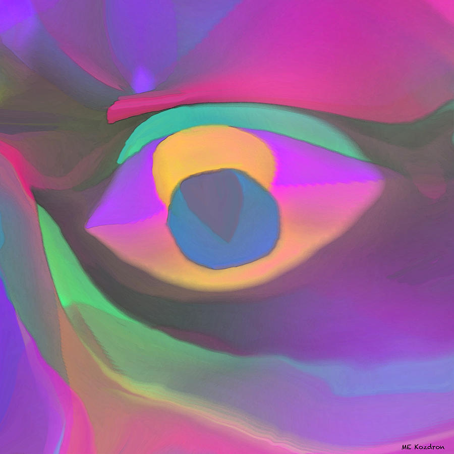 Abstract Digital Art - Sunset Vision by ME Kozdron