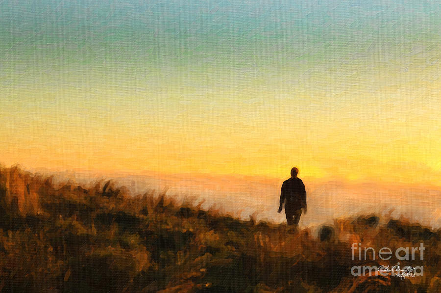 Sunset Walk Painting by Chris Armytage