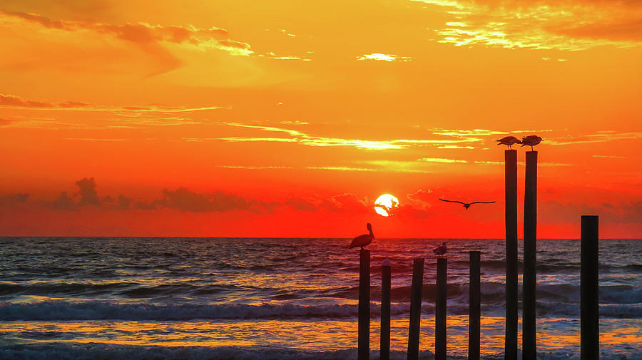 Fernandina Beach Sunset Photograph by William Randolph Fine Art America
