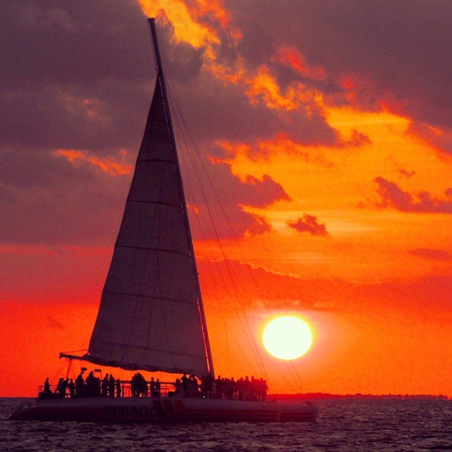 Sunset Photograph - #sunset Wind And Wine Cruise On by Claudia Miller