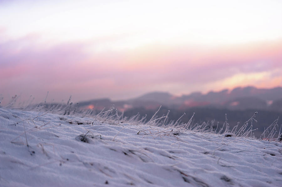 Sunset Winter Field Photograph by Jenny Rainbow