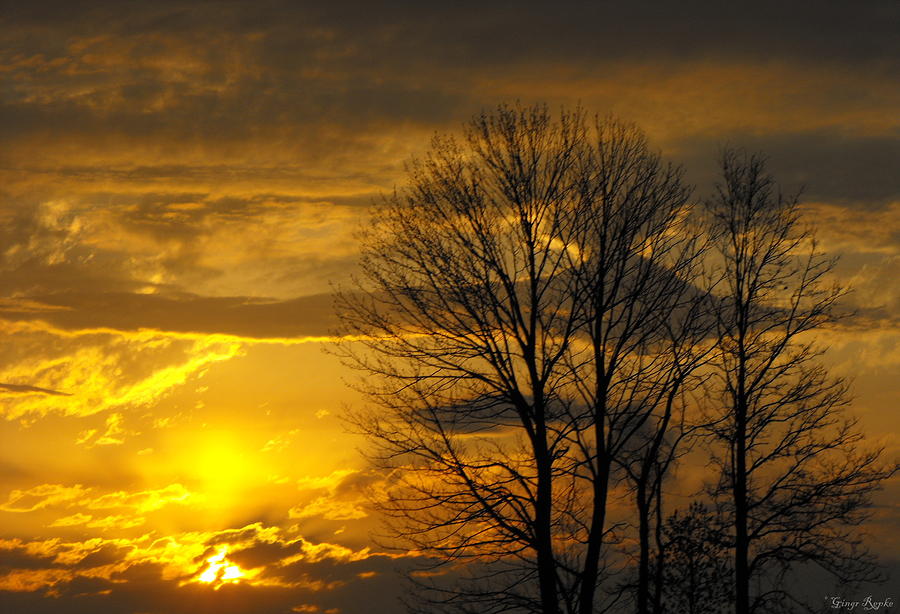 Sunset with Backlit Trees Photograph by Ginger Repke