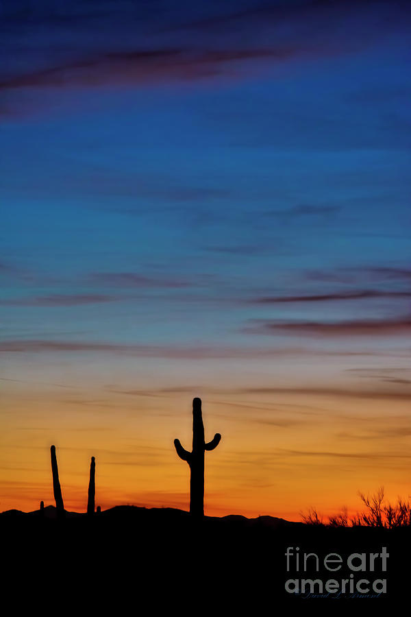 Sunset with Cactus Vertical Photograph by David Arment