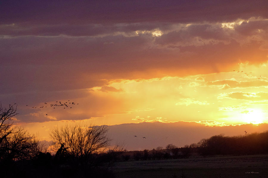 Sunset with Crane Flyby Photograph by Judi Dressler