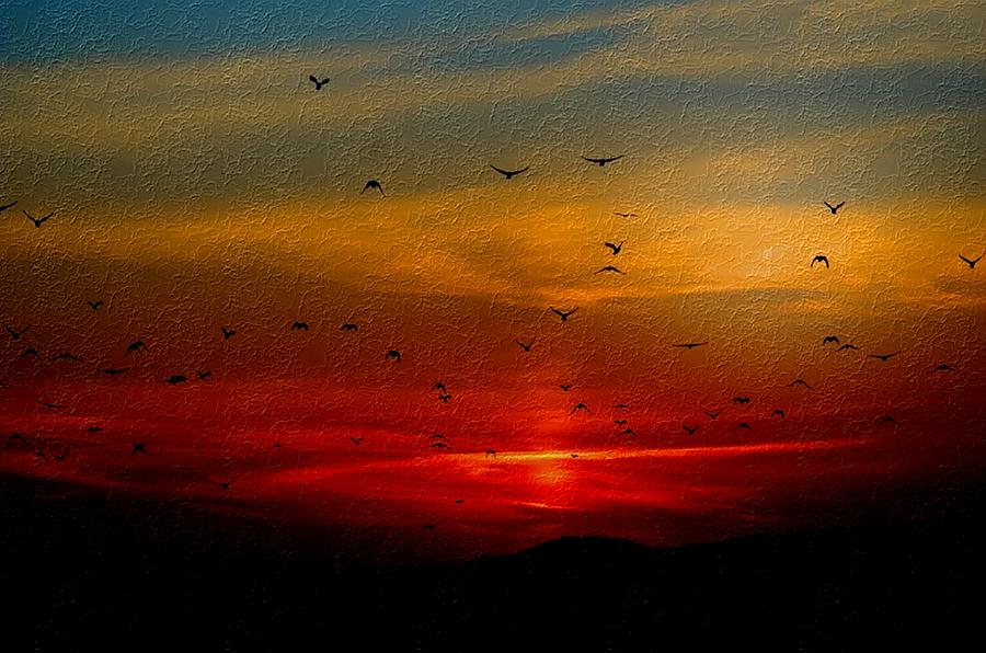 Sunset With Flying Birds no. 2 L B Painting by Gert J Rheeders - Fine ...