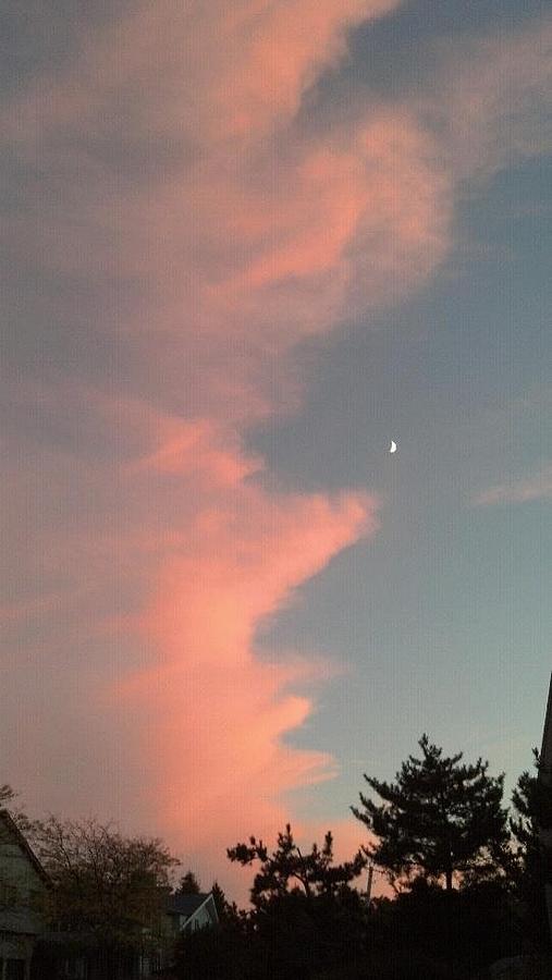 Pink Clouds With Moon Photograph by Harriet Harding Fine Art America