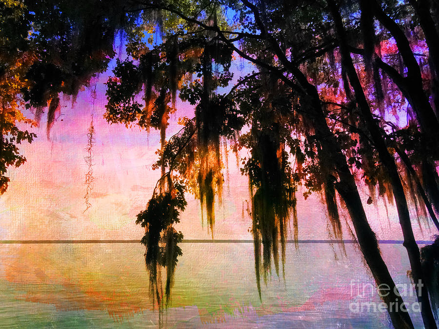 Sunset with Spanish Moss Photograph by Judi Bagwell