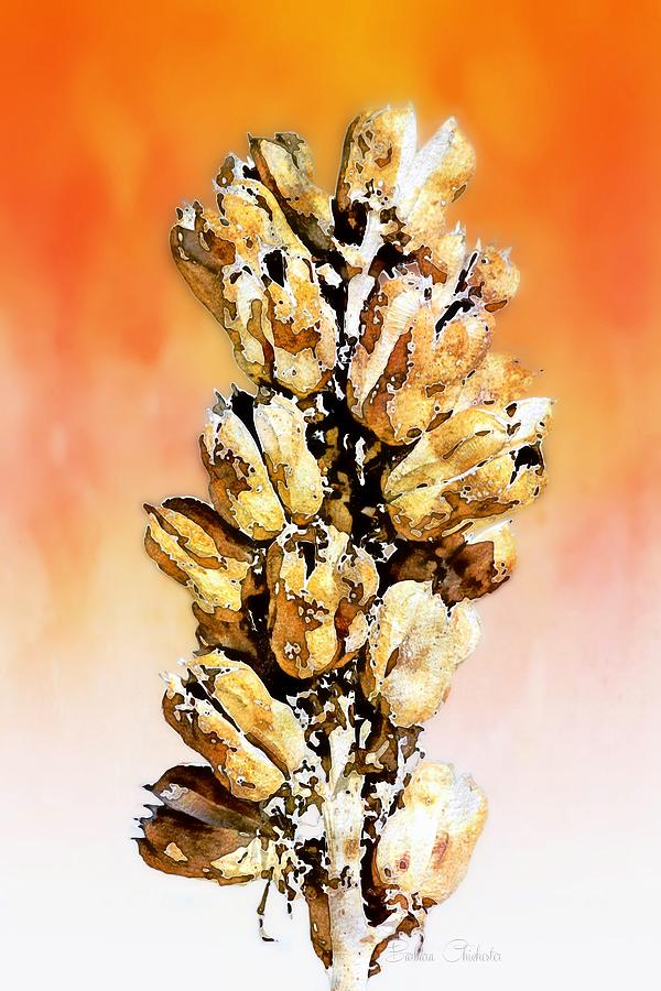 Sunset Yucca Pods Painting by Barbara Chichester