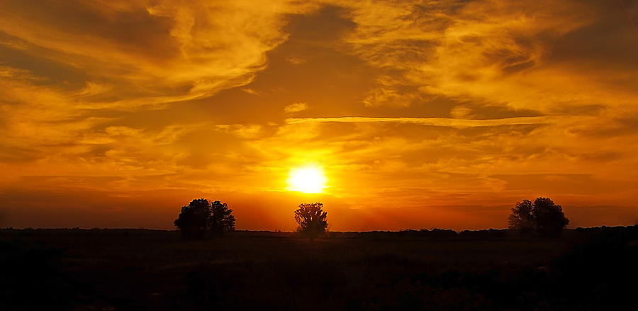 Sunset Photograph - Sunset1 by Svetlana Sewell