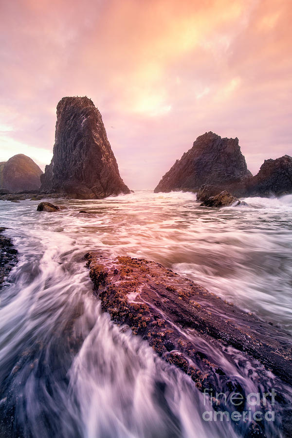 Sunsets and Sea Stacks 4 Photograph by Timothy Hacker