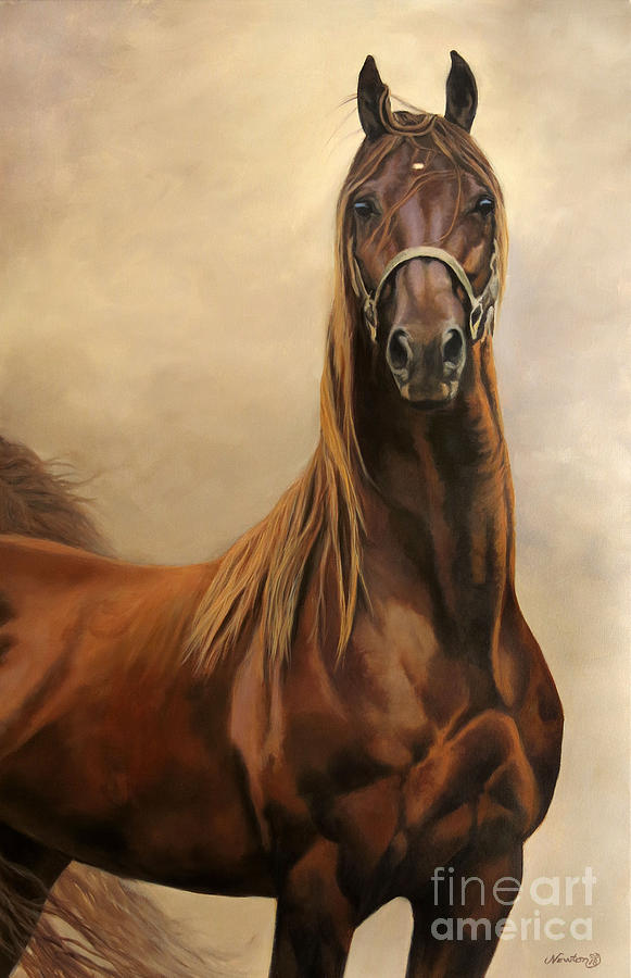 Horse Painting - Sunsets Flying High by Jeanne Newton Schoborg