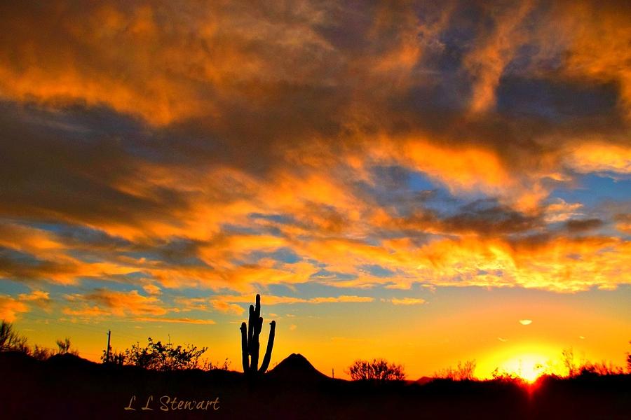 Sunsets Harvest Photograph by L L Stewart