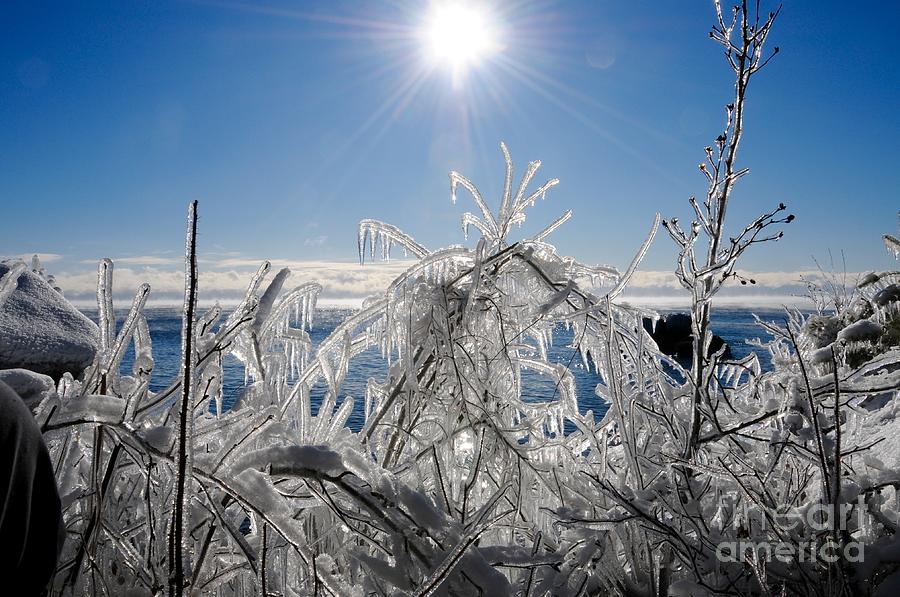 Sunshine and Ice Photograph by Sandra Updyke