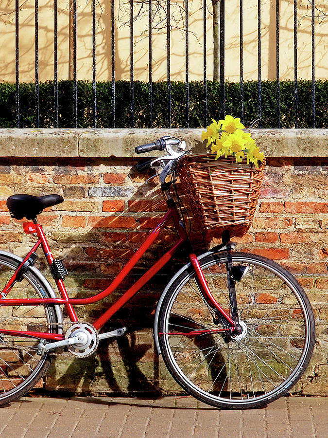 Cambridge Photograph - Sunshine And Shadows - Bicycle In Cambridge by Gill Billington