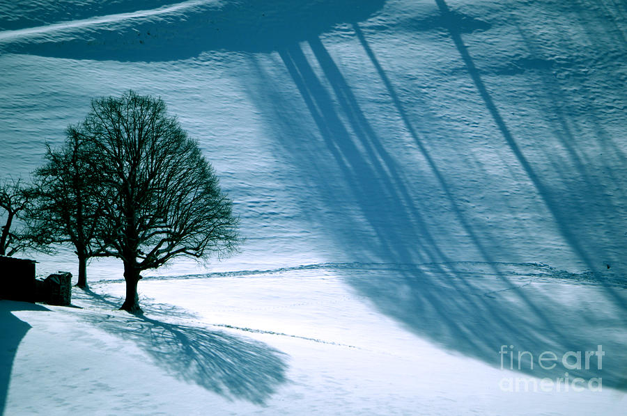 Sunshine and Shadows - Winterwonderland Photograph by Susanne Van Hulst