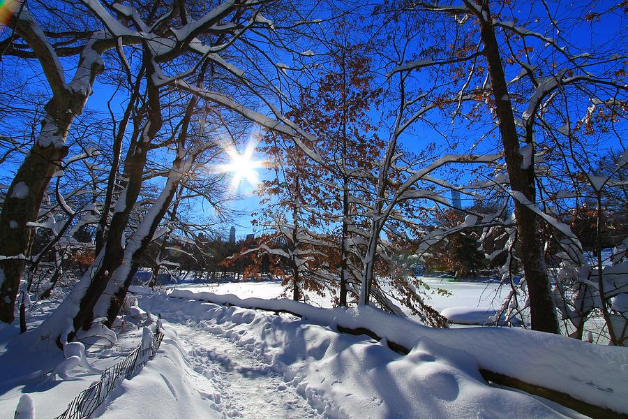 Sunshine and Snow Photograph by Catie Canetti
