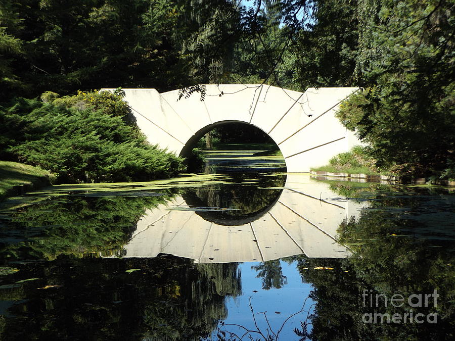 SUnshine Bridge Reflection Photograph by Erick Schmidt