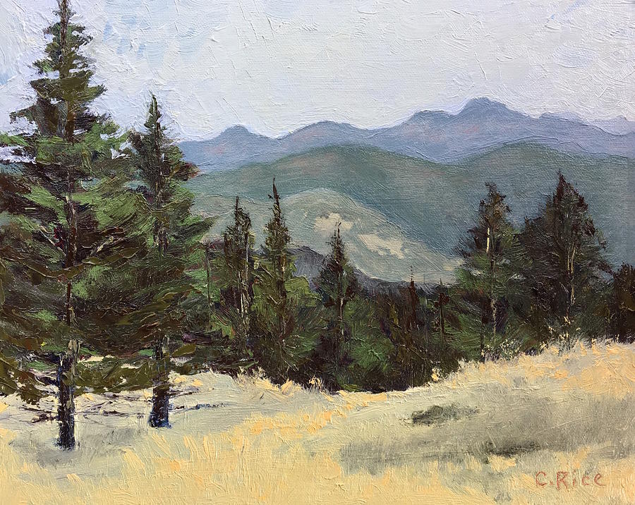 Sunshine Canyon Painting by Chris Rice