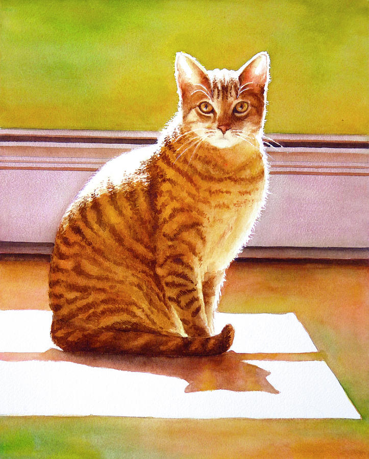 Image result for sunshine cat