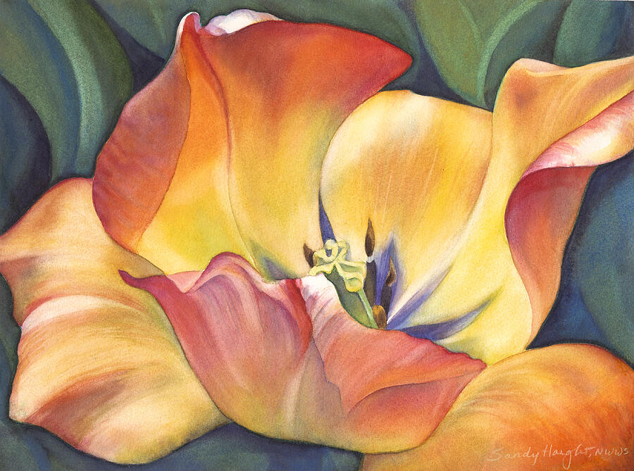 Tulip Painting - Sunshine Dance by Sandy Haight