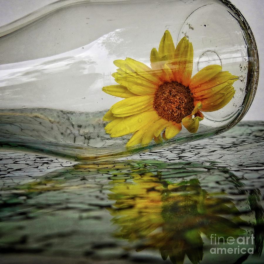 Sunshine in a Bottle - reflection Photograph by Ella Kaye Dickey