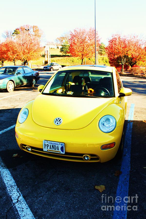 Volkswagen Photograph - Sunshine In Autmn by Billie Stultz Volkswagen Photograph - Sunshine In Autmn by Billie Stultz