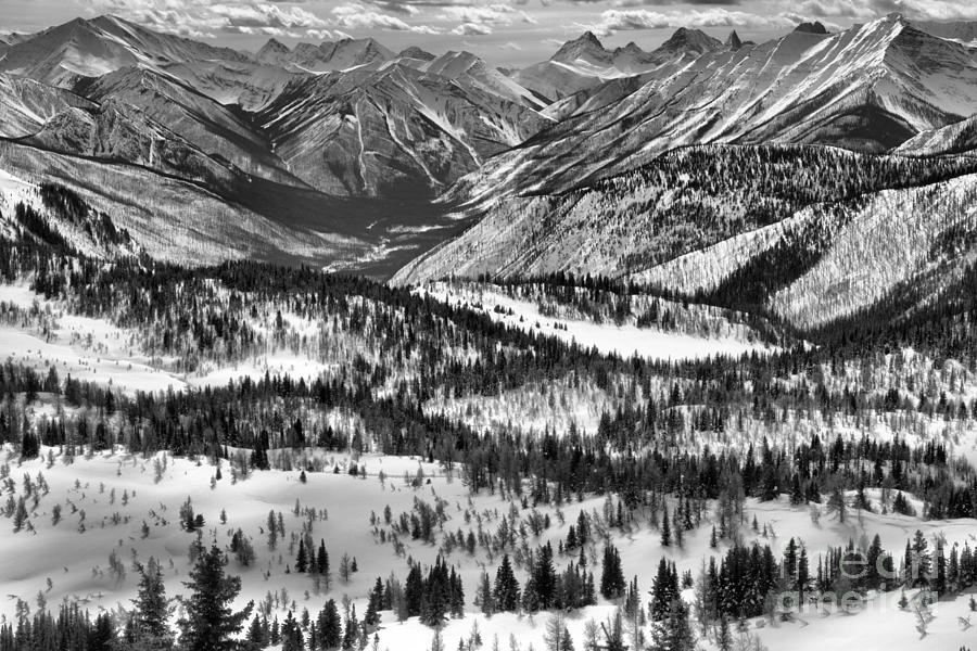 Sunshine Meadows Winter Overlook Black And White Photograph by Adam Jewell