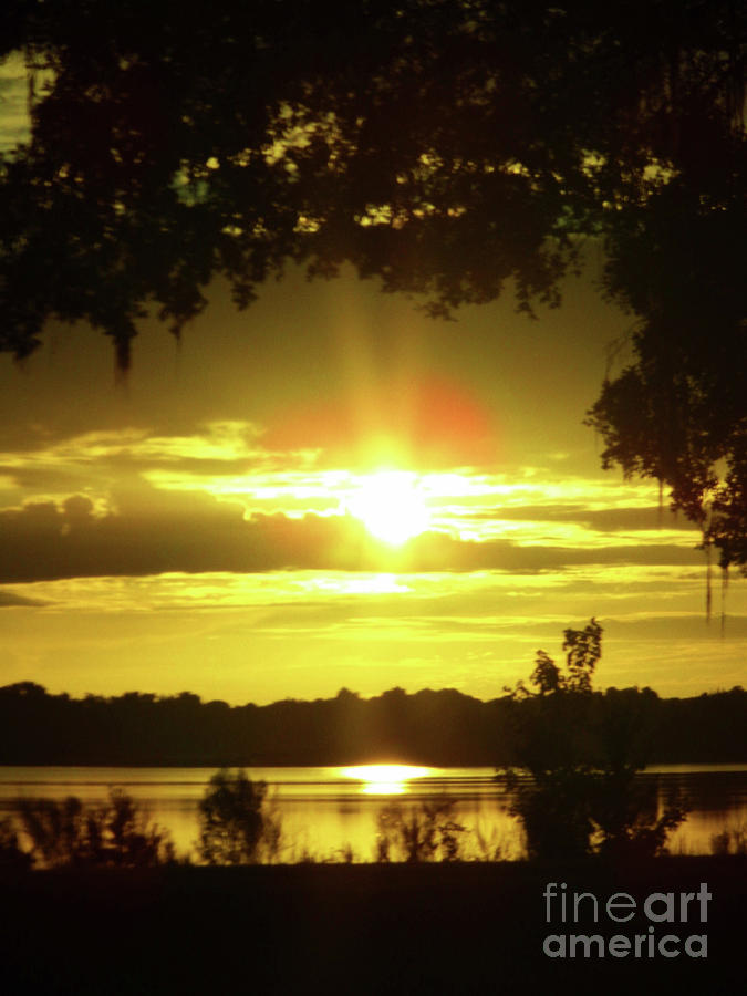 Sunshine Morning At The Lake Photograph by D Hackett