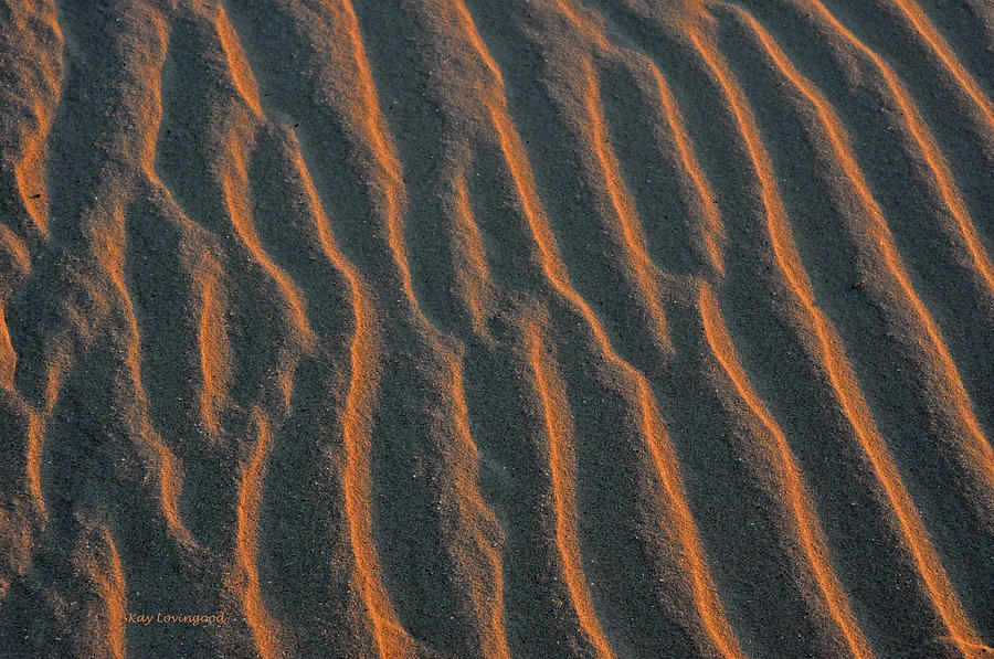 Sunshine on the Sand Photograph by Kay Lovingood