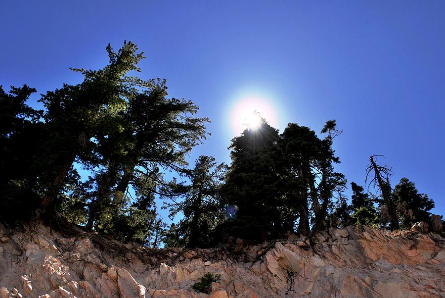 Nature Photograph - Sunshine over Cliff in Forest by Matt Quest