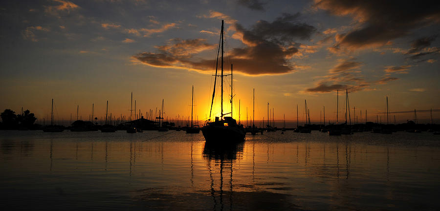 Sunset harbor Photograph by David Lee Thompson