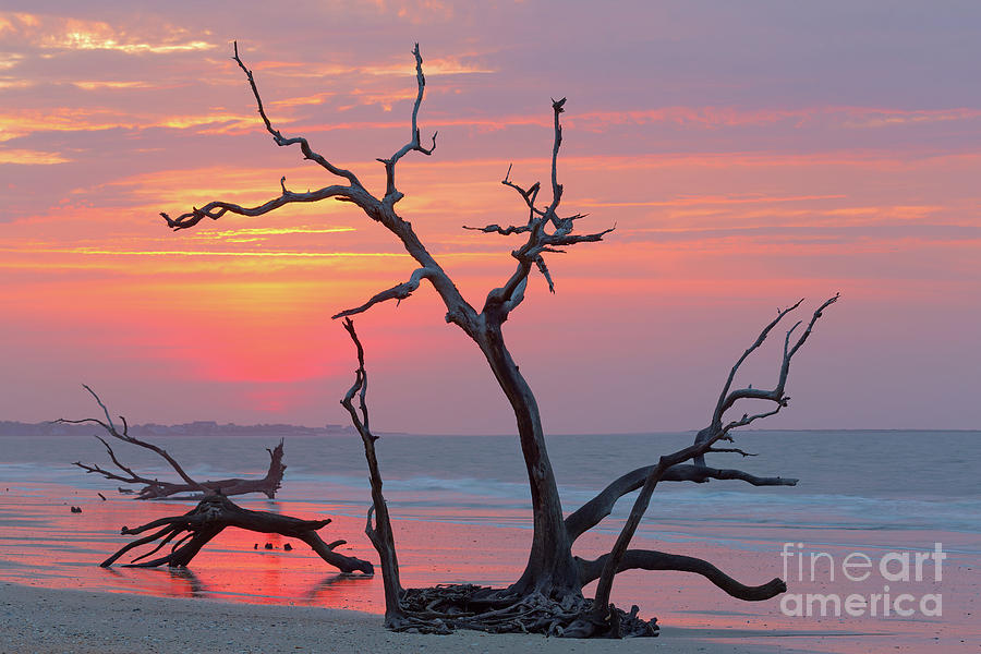 Adventure Photograph - Sunup by Steven Dillon Adventure Photograph - Sunup by Steven Dillon