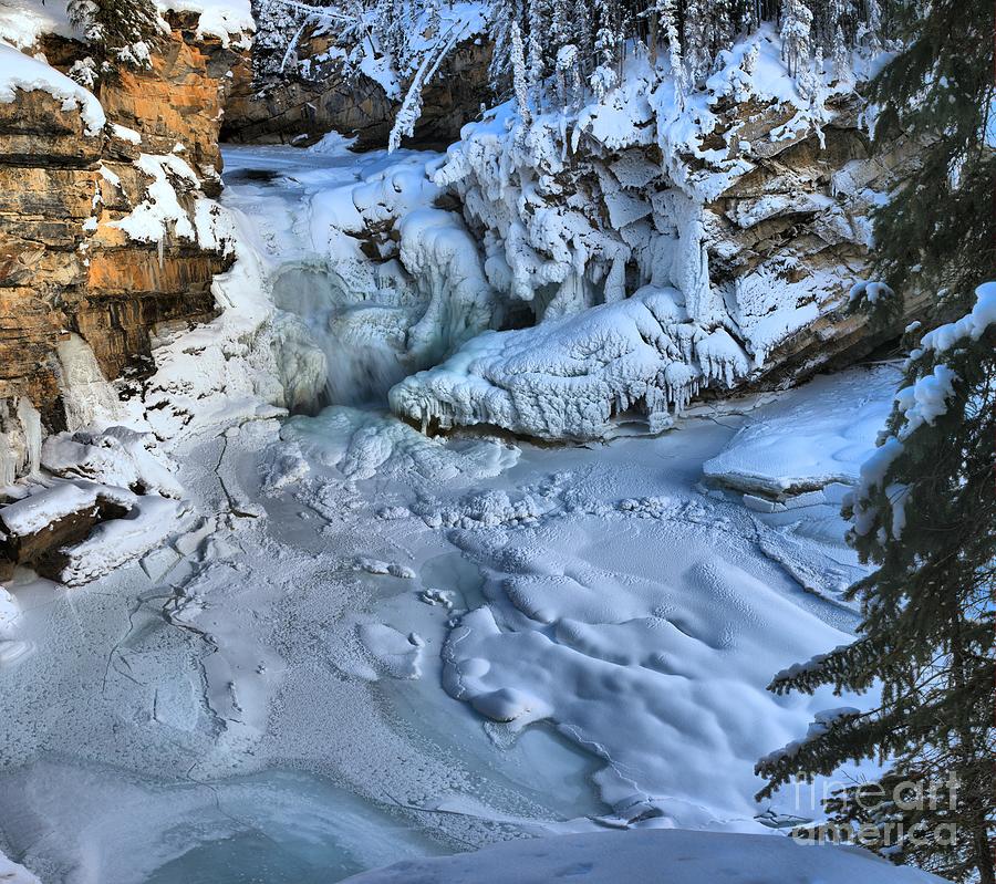 Sunwapta Falls Frozen Photograph by Adam Jewell