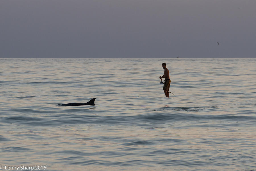 Sup Photograph - SUP with Dolphin by Leonard Sharp Sup Photograph - SUP with Dolphin by Leonard Sharp