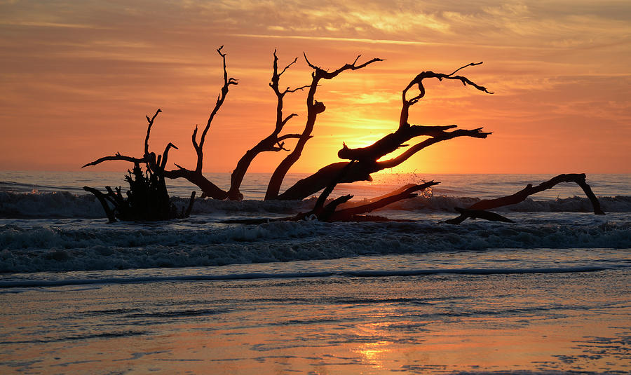 Supended Sunrise on Driftwood Beach Photograph by Bruce Gourley