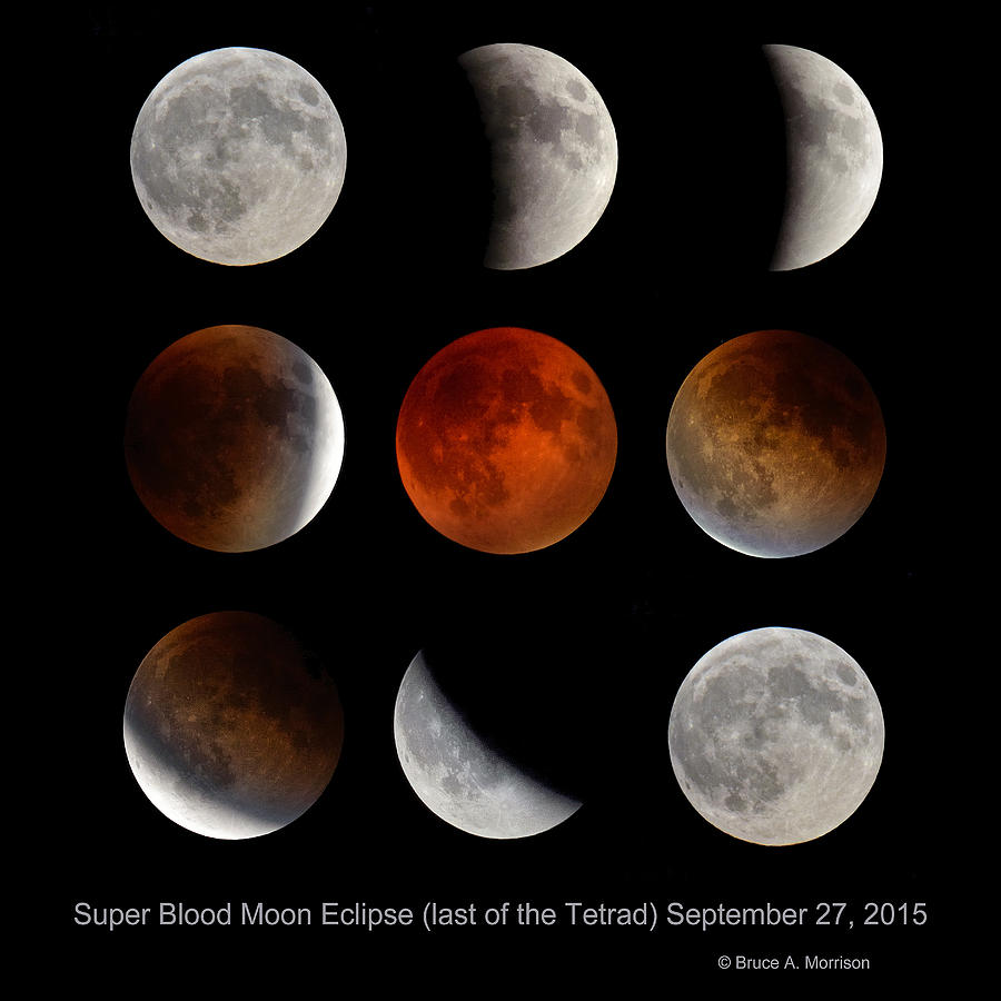 Super Blood Moon Eclipse Photograph by Bruce Morrison