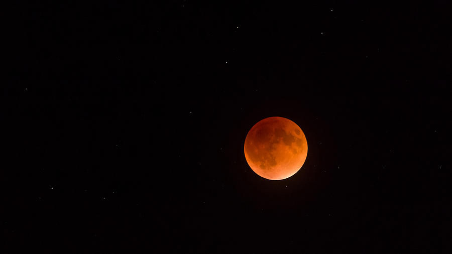 Super Blood Moon Eclipse Photograph by Lori Coleman