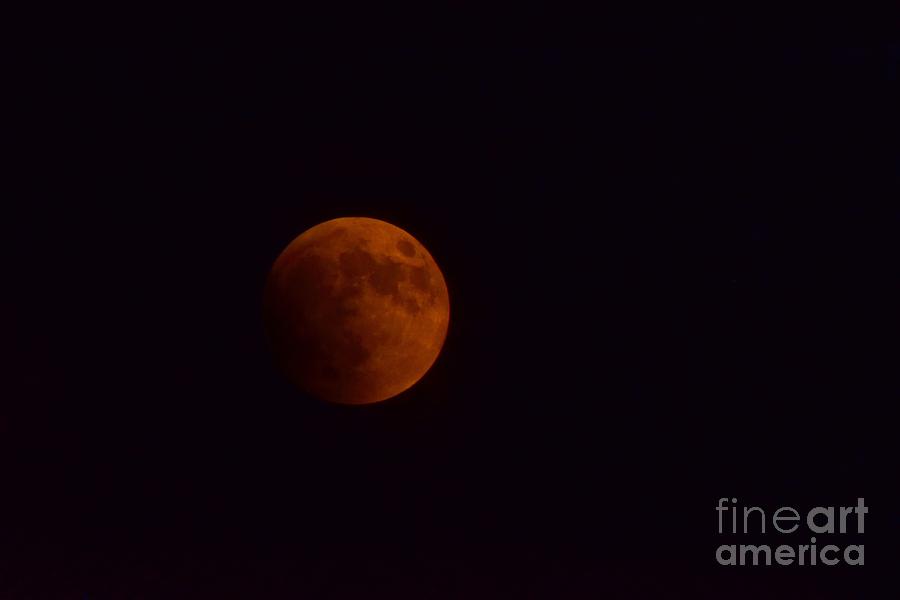 Super Blood Moon Photograph - Super Blood Moon September 2015 by Janette Boyd