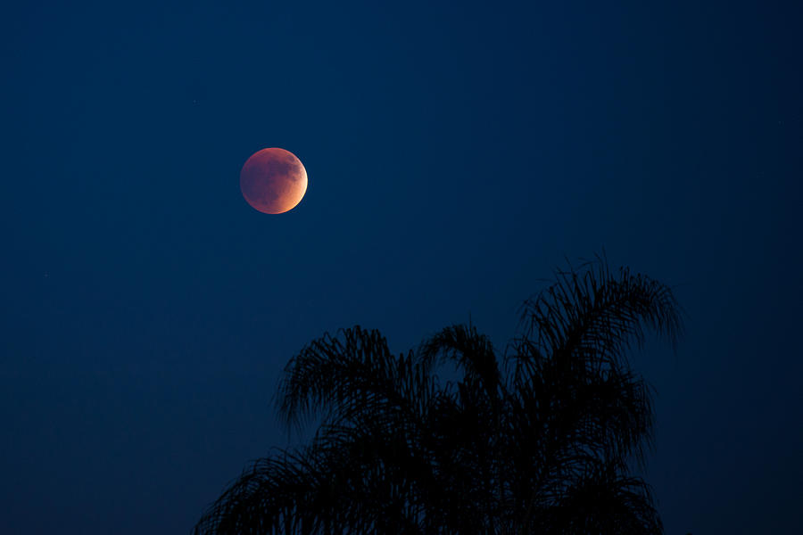 Super Blood Moon over San Diego - 2015-09-27 Photograph by Bruce Friedman