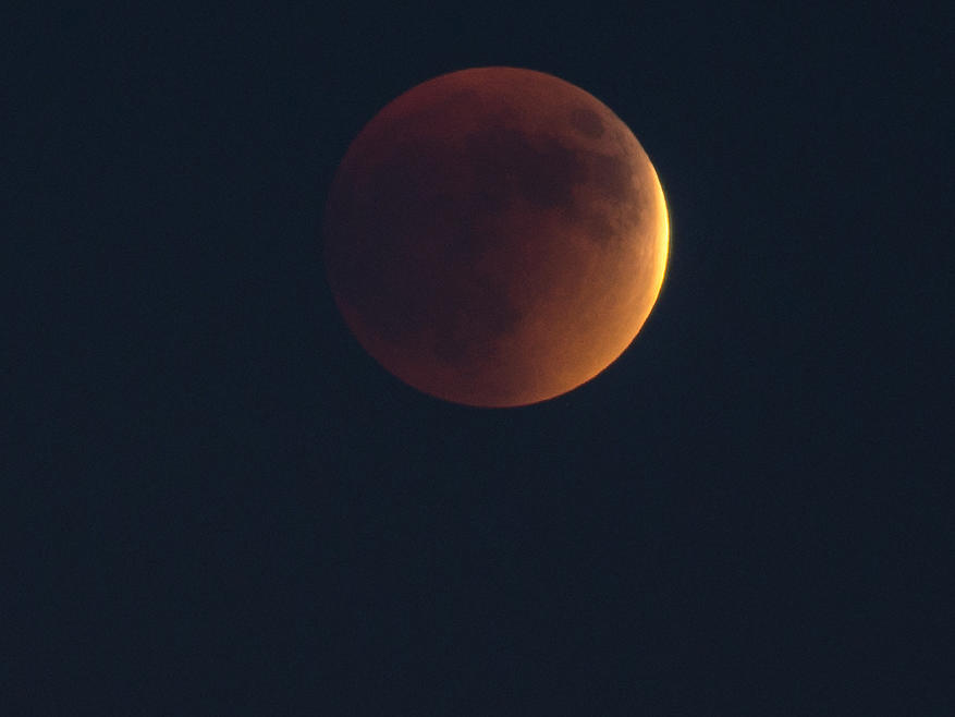 Super Blood Moon - San Diego - California Photograph by Bruce Friedman