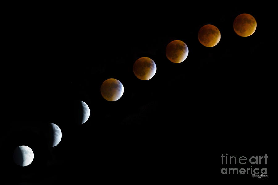 Space Photograph - Super Blood Moon Time Lapse by Jennifer White