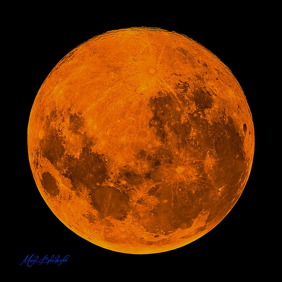 Super Blue Blood Moon Photograph by Mark Blauhoefer