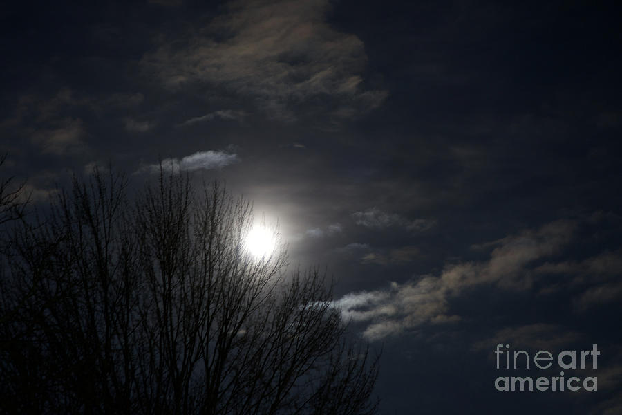 Super Blue Moon Photograph by Ann Horn