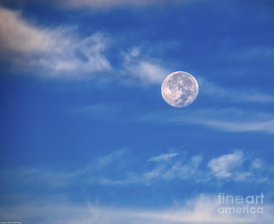 Super Blue Moon Photograph by Mitch Shindelbower