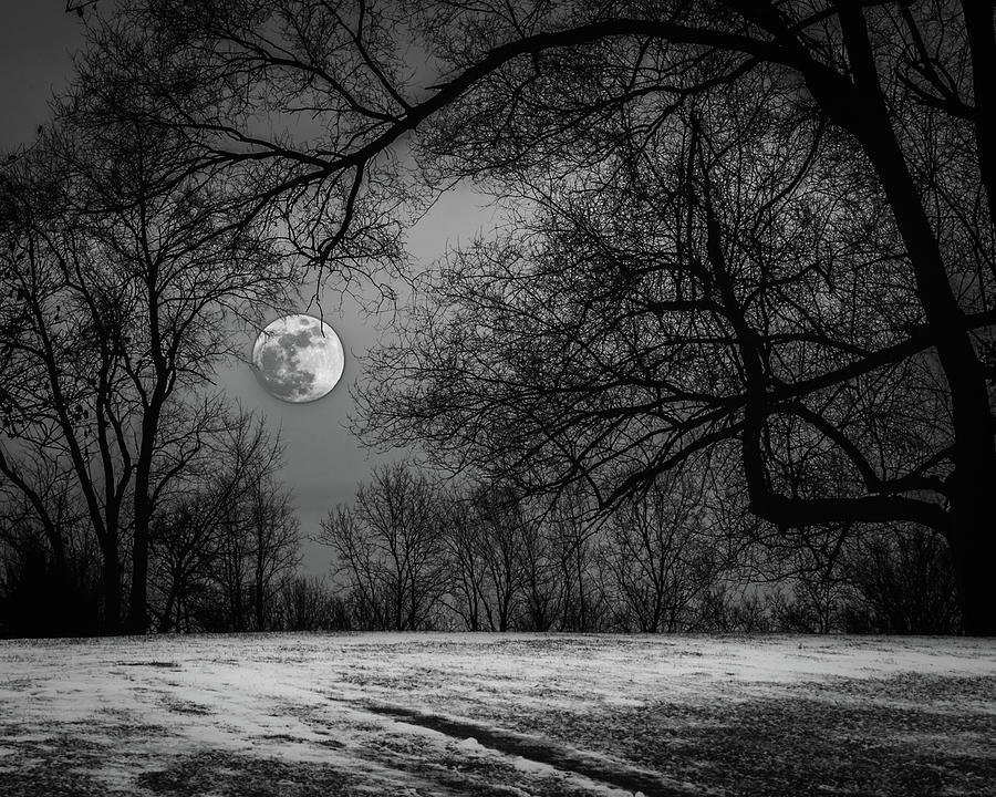 Super Blue Moon Rising BW Photograph by William Christiansen