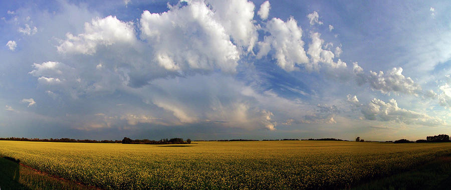 Summer Photograph - Super Cell Over the Canola by Phil And Karen Rispin