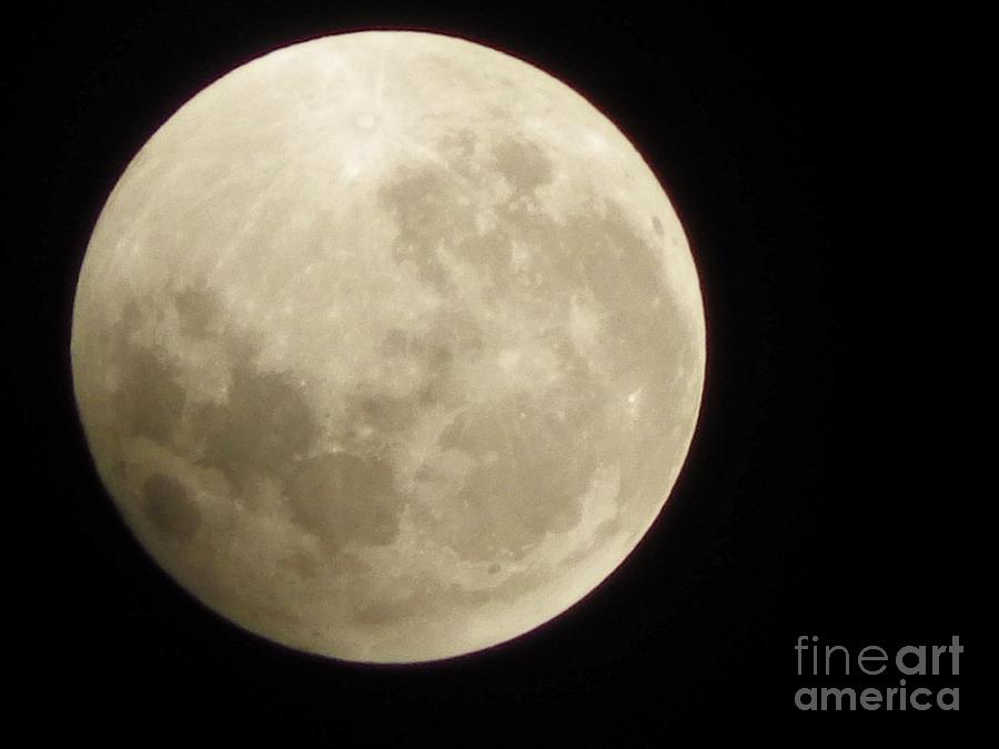 Super Moon 2015 Part 2 Photograph